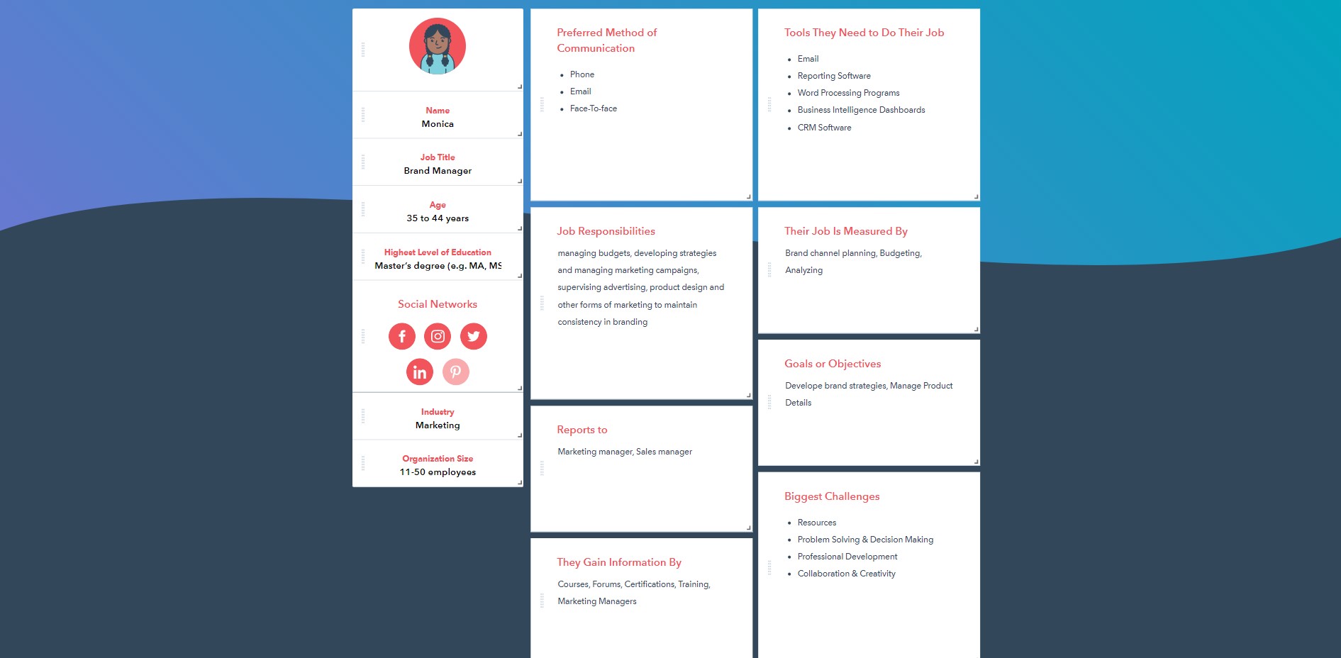 buyer persona template Monica